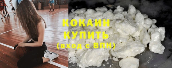 молекула духа Заводоуковск