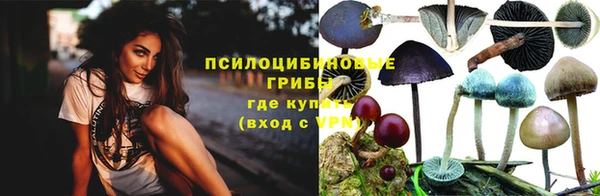молекула духа Заводоуковск