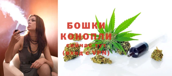 молекула духа Заводоуковск