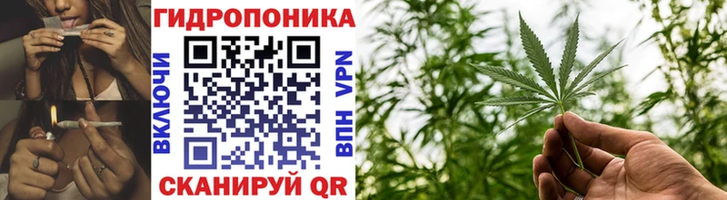 Марихуана White Widow  наркотики  Кремёнки 